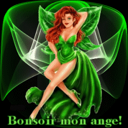 bonsoir mon ange!